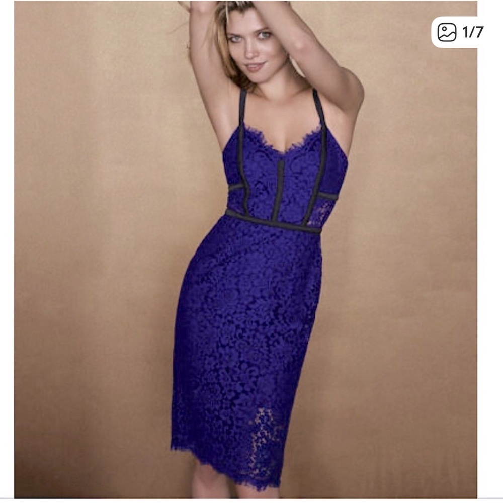 Express Royal Blue Lace Midi Dress with Black Accents